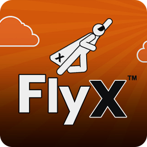 FlyX